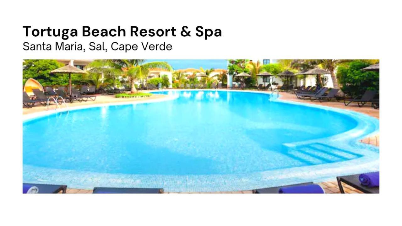 Tortuga Beach Village Private Apartments And Villas For Rent Santa Maria Buitenkant foto